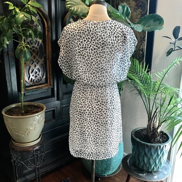 ASOS - Needle & Thread Francesca leopard chiffon - Picture 5 of 8